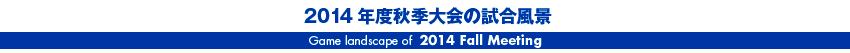 2014年度秋季大会の試合風景